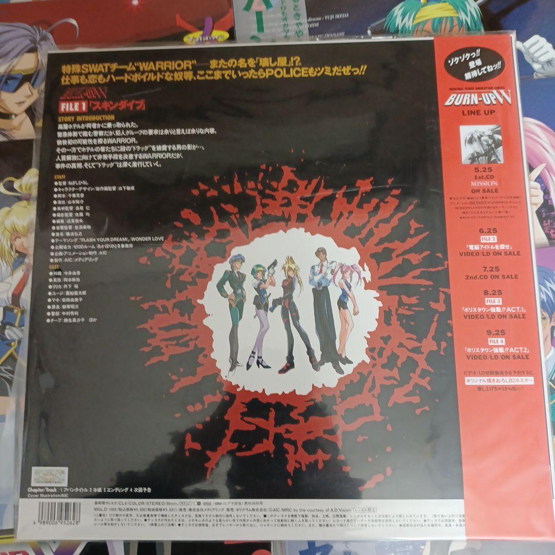 バーンナップエクセスレーザーディスク8枚