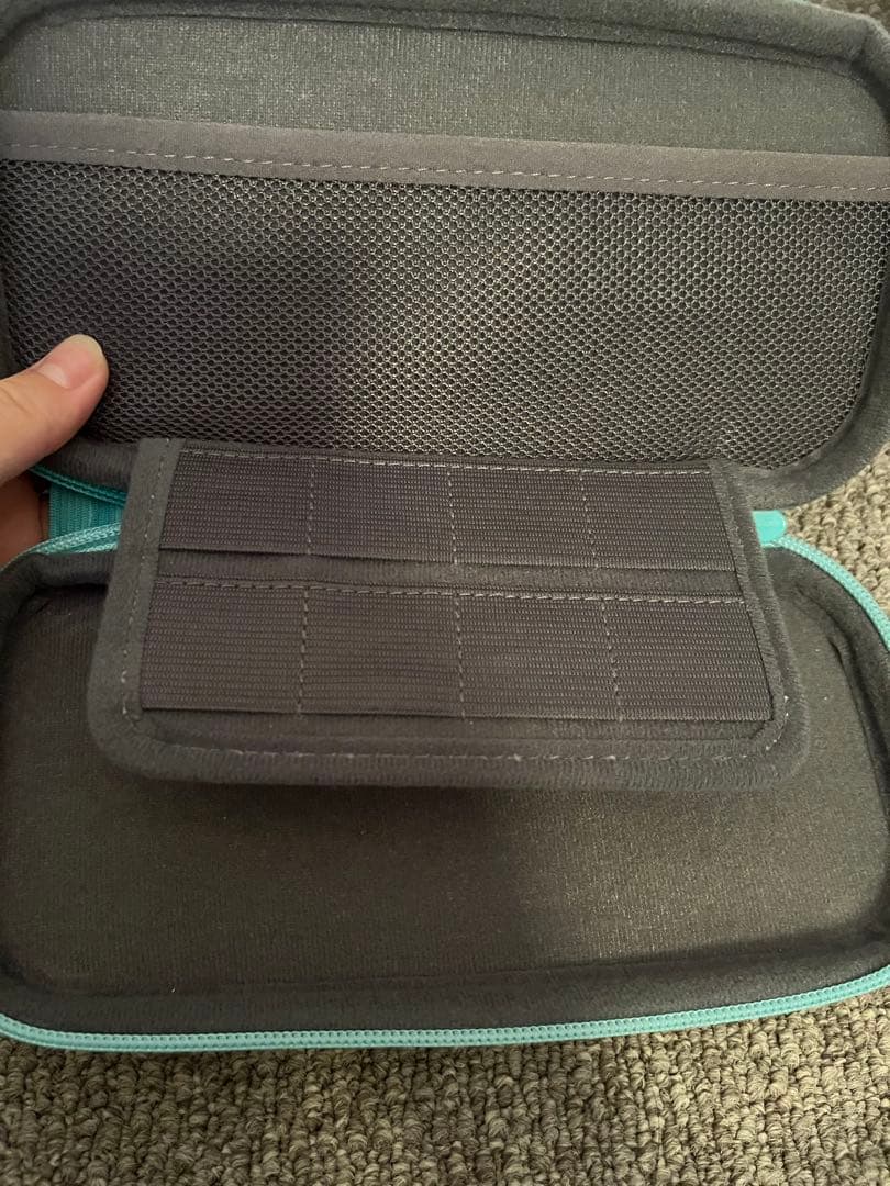 Nintendo Switch Lite 本体、充電器、ケース付き