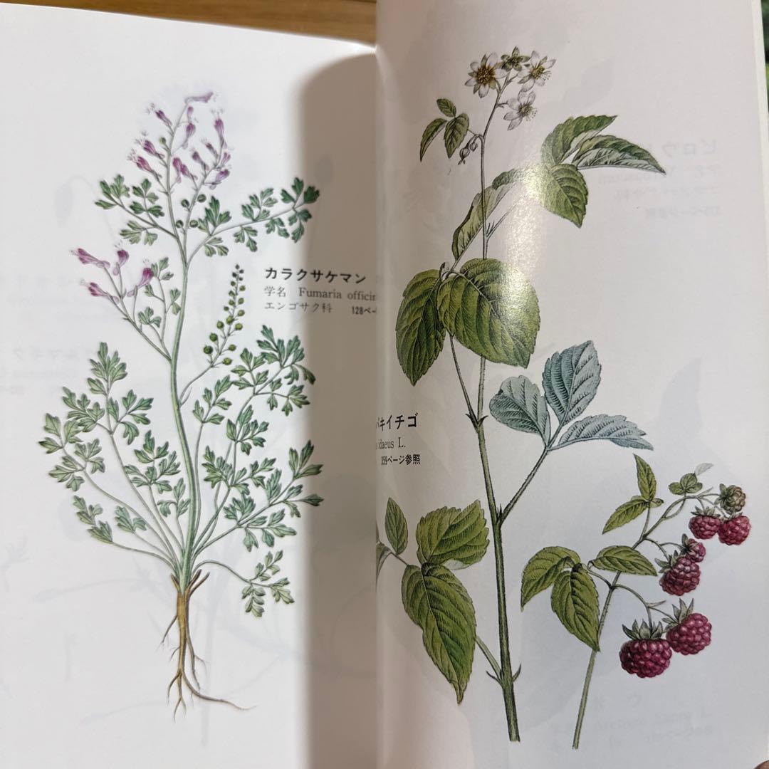 メッセゲ氏の薬草療法 ハーブ 薬草 自然療法 本 自然の友社 モーリス・メッセゲ