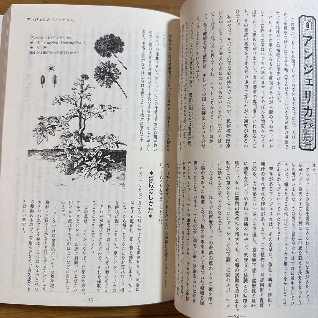 メッセゲ氏の薬草療法 ハーブ 薬草 自然療法 本 自然の友社 モーリス・メッセゲ