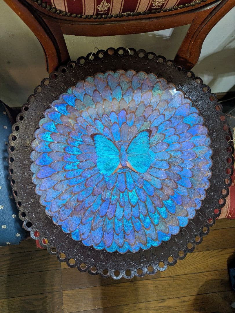 特大 極美☆神秘の輝き モルフォ蝶　美と幸運を招く一枚　Morpho 　標本