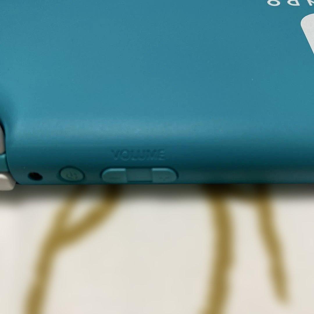 Nintendo Switch Lite ターコイズ 本体 充電器　公式ケース付