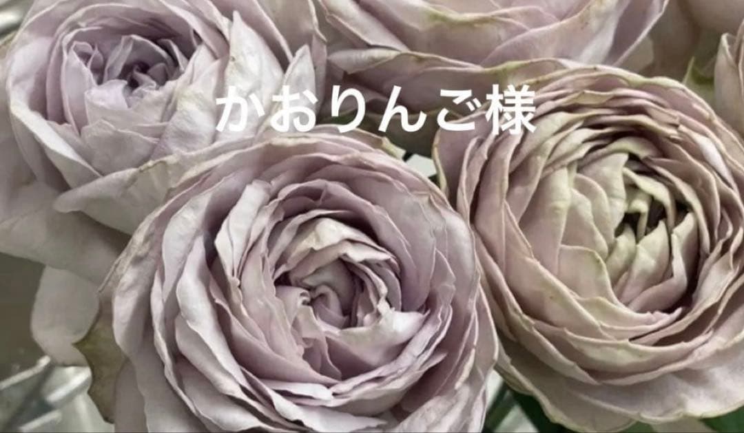 バラ苗　購入前にコメント