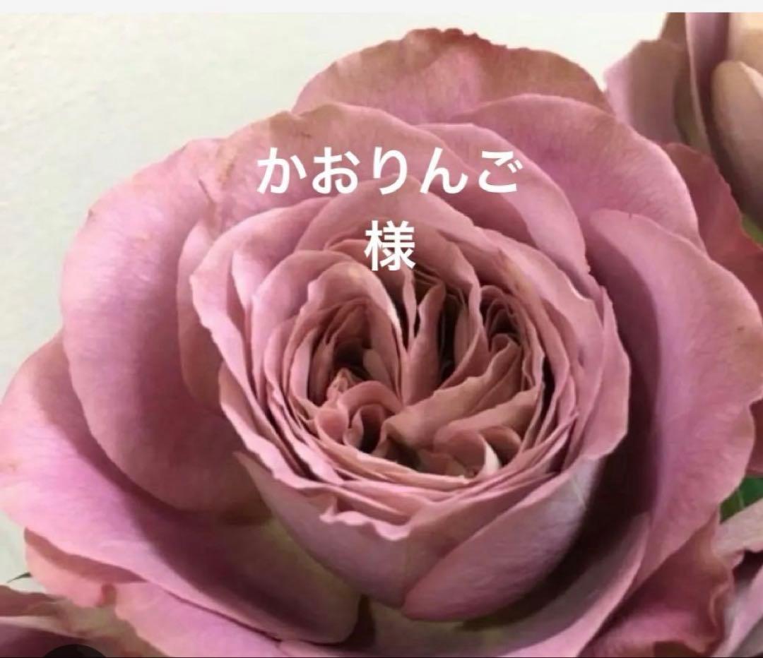 バラ苗　購入前にコメント