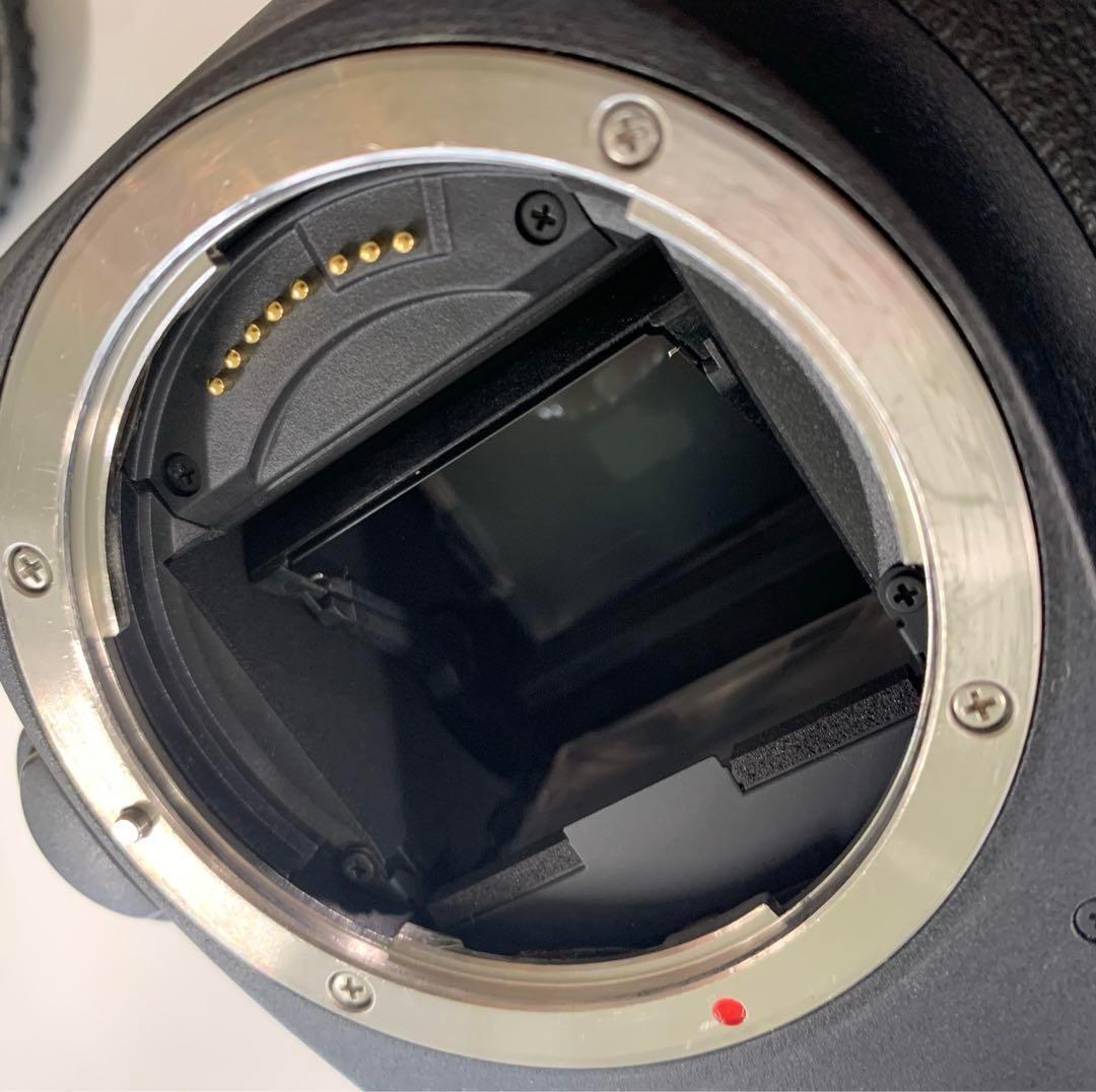 【美品】CANON EOS 6D Mark II