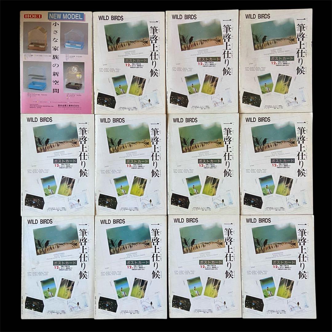 希少 愛鳥家専門誌 ALL BARD オールバード 1987年 創刊号〜 88冊