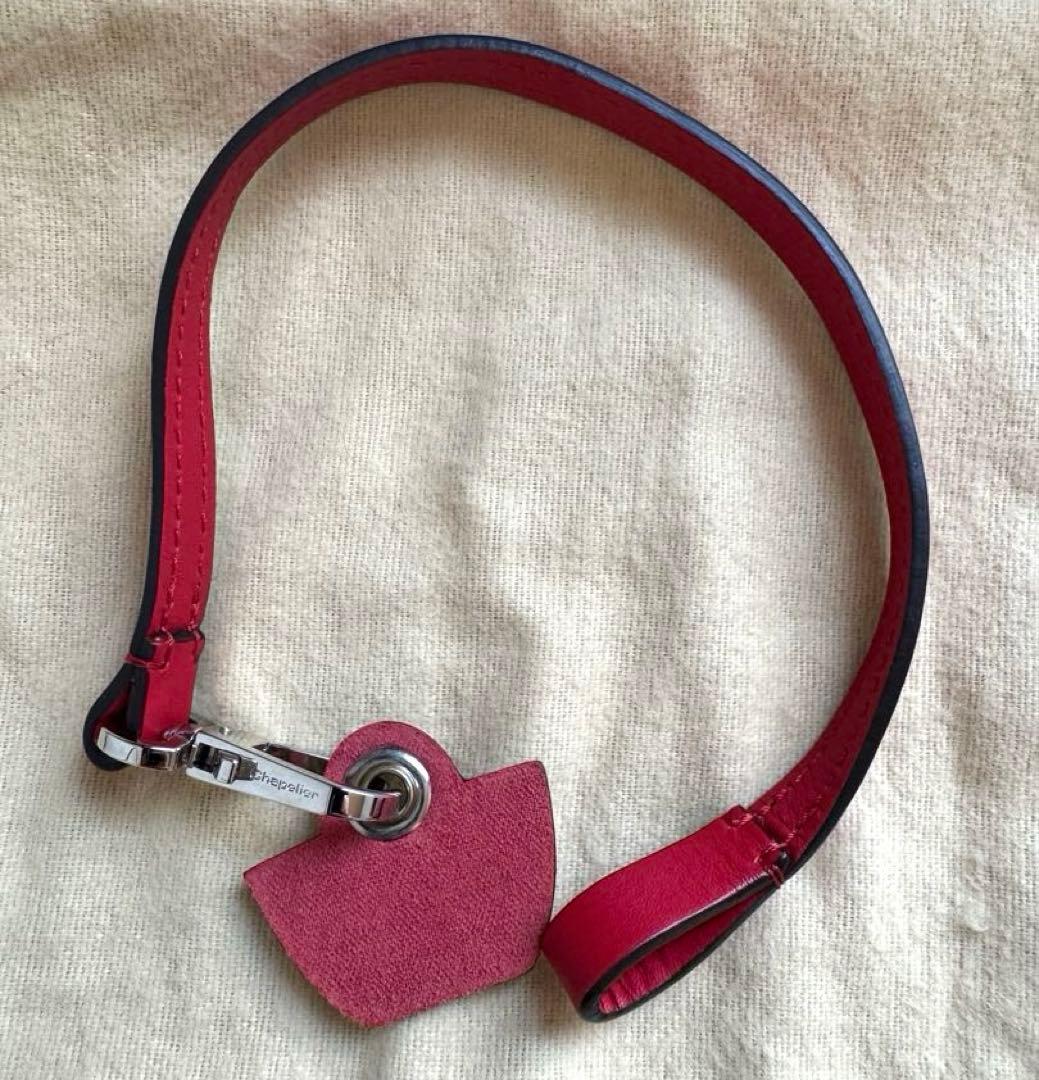 エルベシャプリエ 1660L (レザーストラップ)