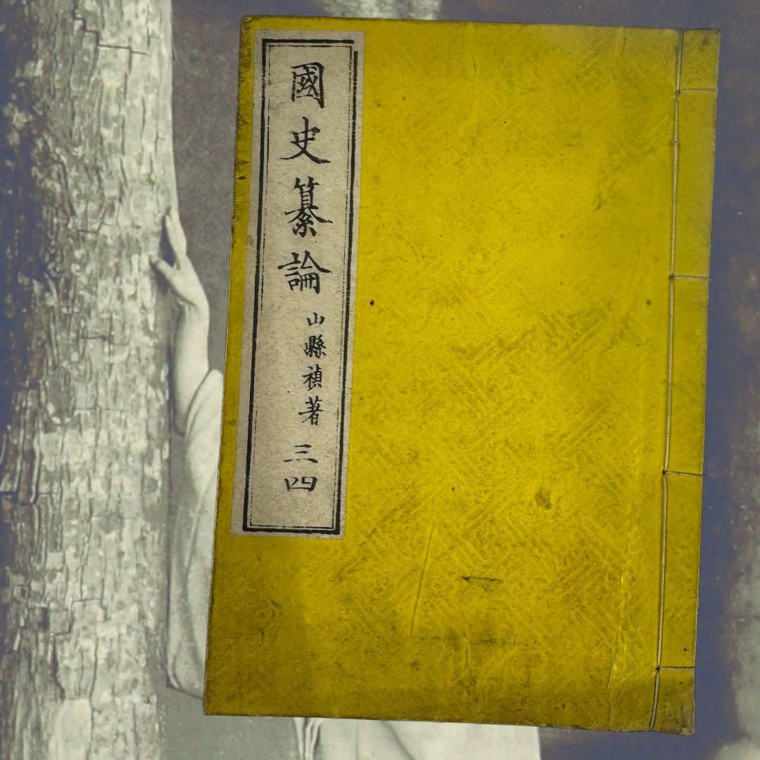 國史纂論 1845年 全巻 江戸期 全巻 弘化 嘉永 長州 明倫館 明治 新刻