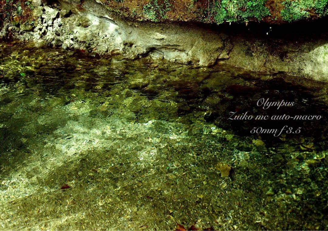 OLYMPUS OM-1／マクロレンズ★完動品＊美品＊初期保証★外装リザード本革