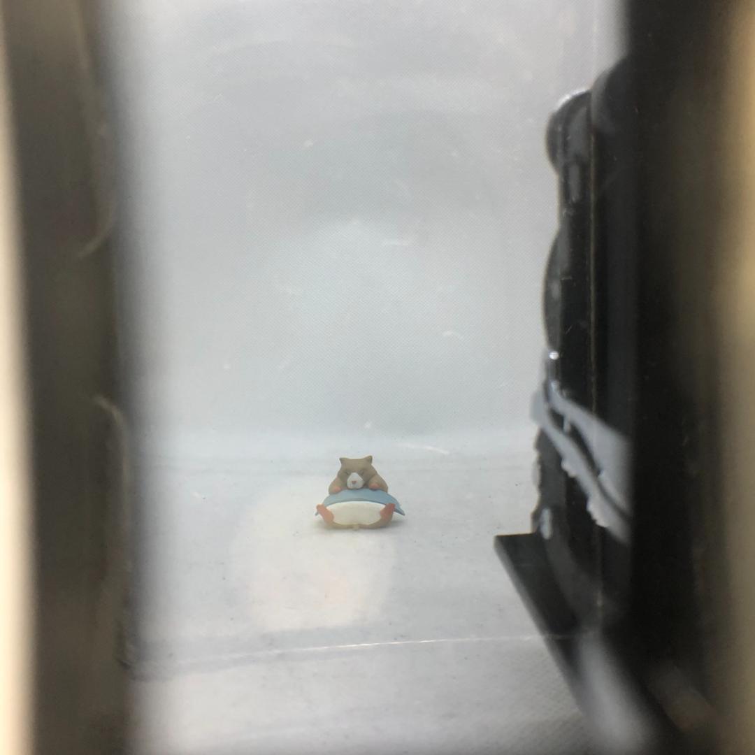 【C7179】ツァイスイコン Super Ikonta 531 フィルムカメラ