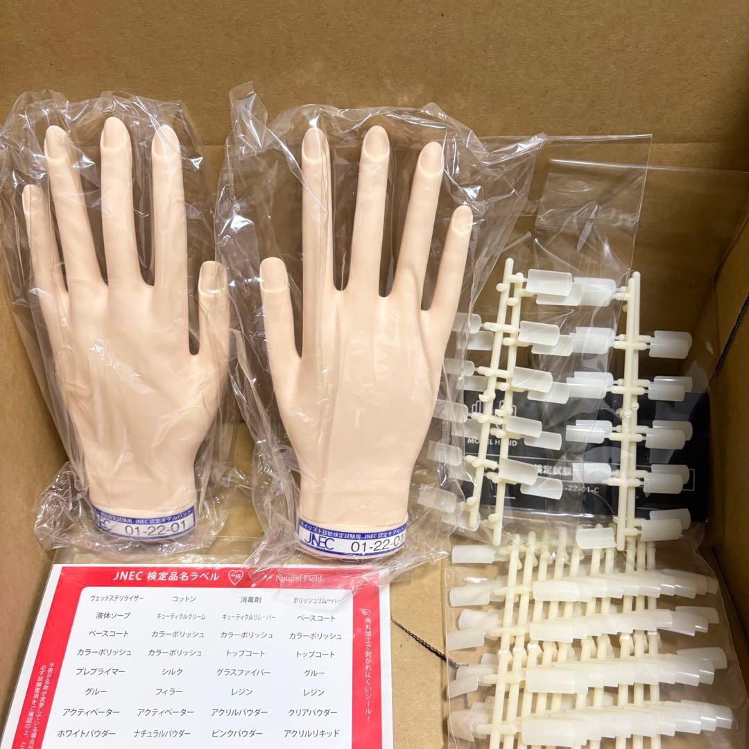 JNEC認定モデルハンド 両手セット 箱付き チップ付き