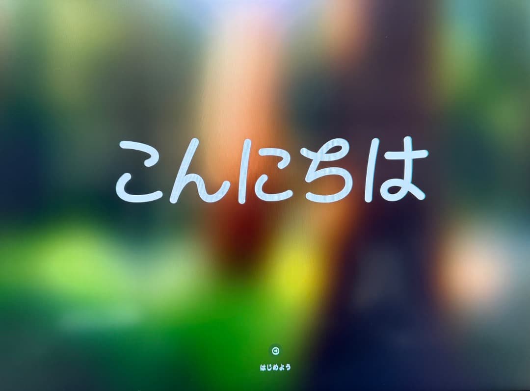 極美品 Apple Mac mini M4 Pro 本体 64GB 2TB