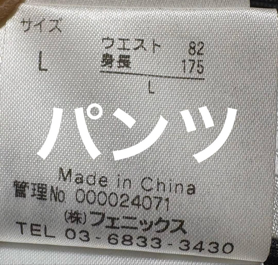 ♦︎良品♦︎フェニックスphenixスキーウェア　スノボウェア　メンズ　L