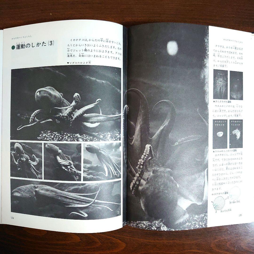 【昭和レトロ・レア品】1970 学研の図鑑 全9巻セット