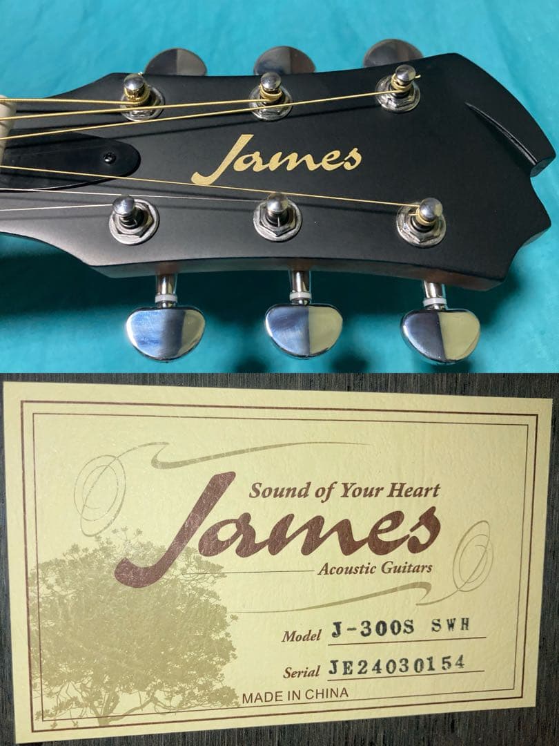 James J-300S SWH ジェームスギター
