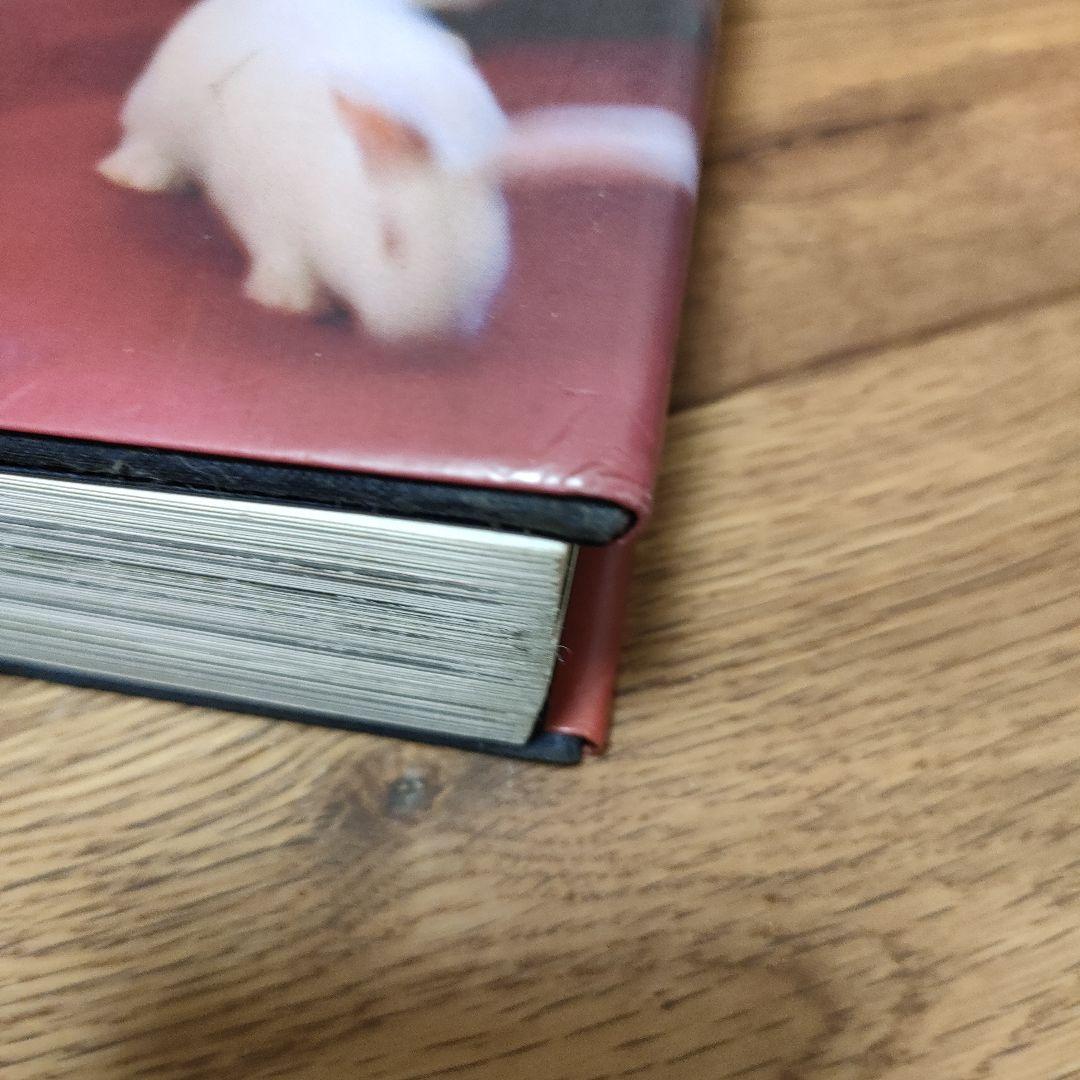 ティム ウォーカー 写真集「TIM WALKER / PICTURES」