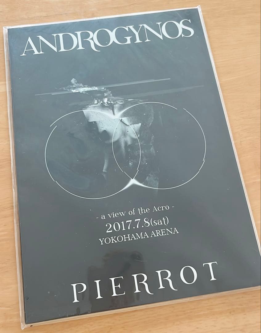 PIERROT DIR EN GREY ANDROGYNOS 豪華盤 DVD