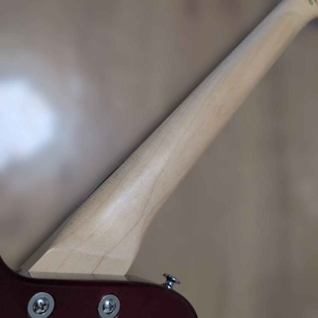 Pignose PGG-200 ピグノーズ アンプ内蔵 美品！