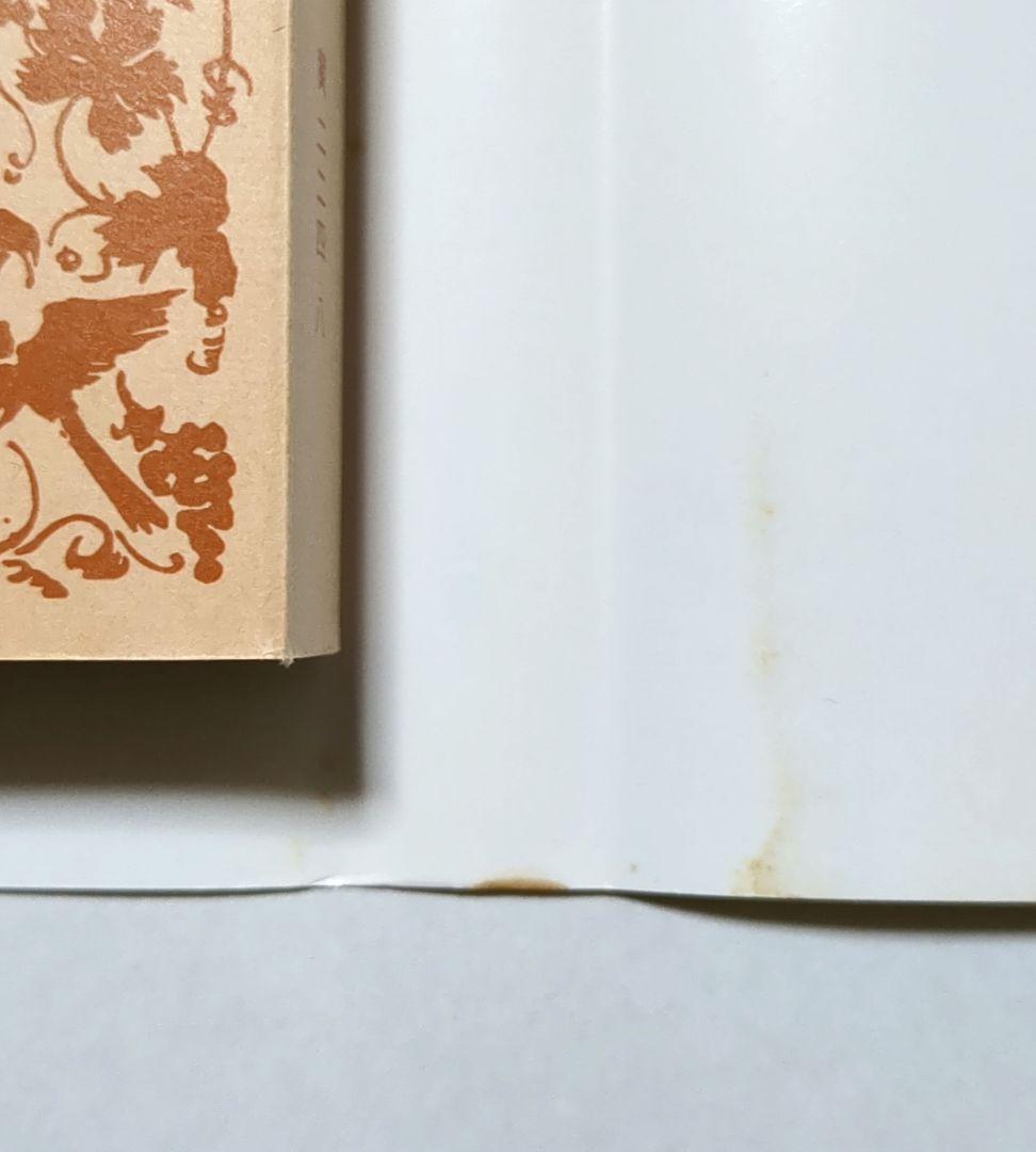 南総里見八犬伝 曲亭馬琴 岩波文庫 全10巻セット 箱入