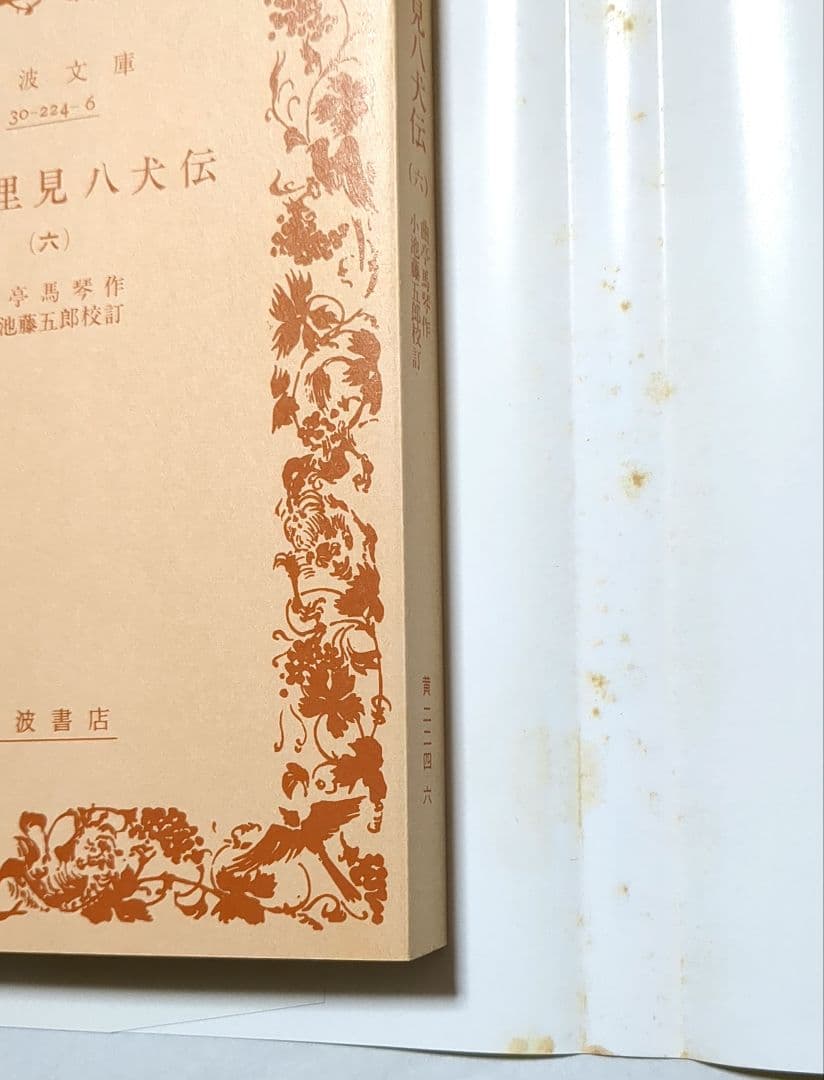 南総里見八犬伝 曲亭馬琴 岩波文庫 全10巻セット 箱入