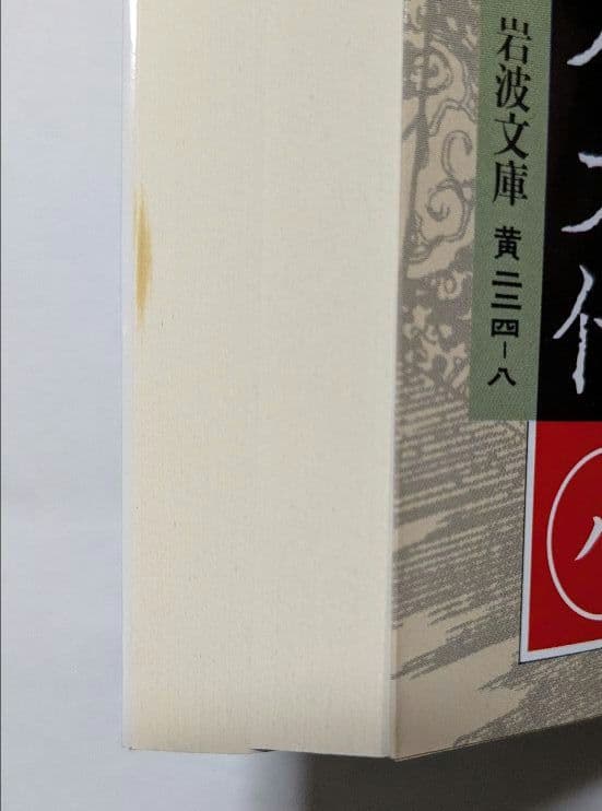 南総里見八犬伝 曲亭馬琴 岩波文庫 全10巻セット 箱入