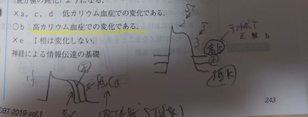 医学部　CBT クエスチョン・バンク　2019　紙版　絶版　メディックメディア