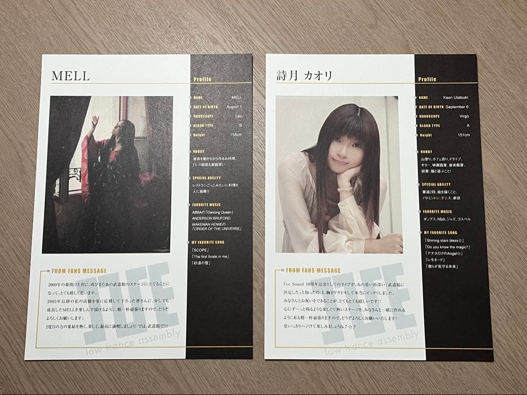 希少 レア I'VE in BUDOKAN 2009 プレス資料 武道館