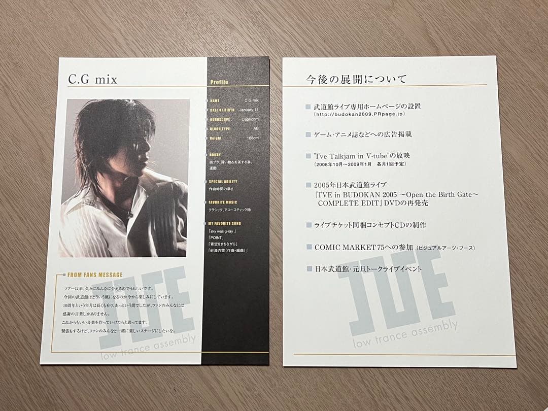 希少 レア I'VE in BUDOKAN 2009 プレス資料 武道館