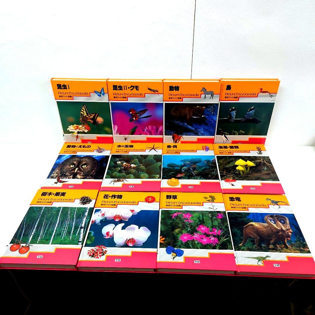 M1122A1 学研 ベスト教科辞典 B C 原色ワイド図鑑 12 14