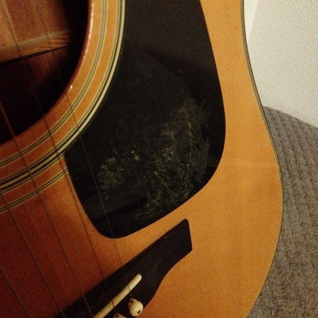 MORRIS MD-201 アコースティックギター モーリス ソフトケース付