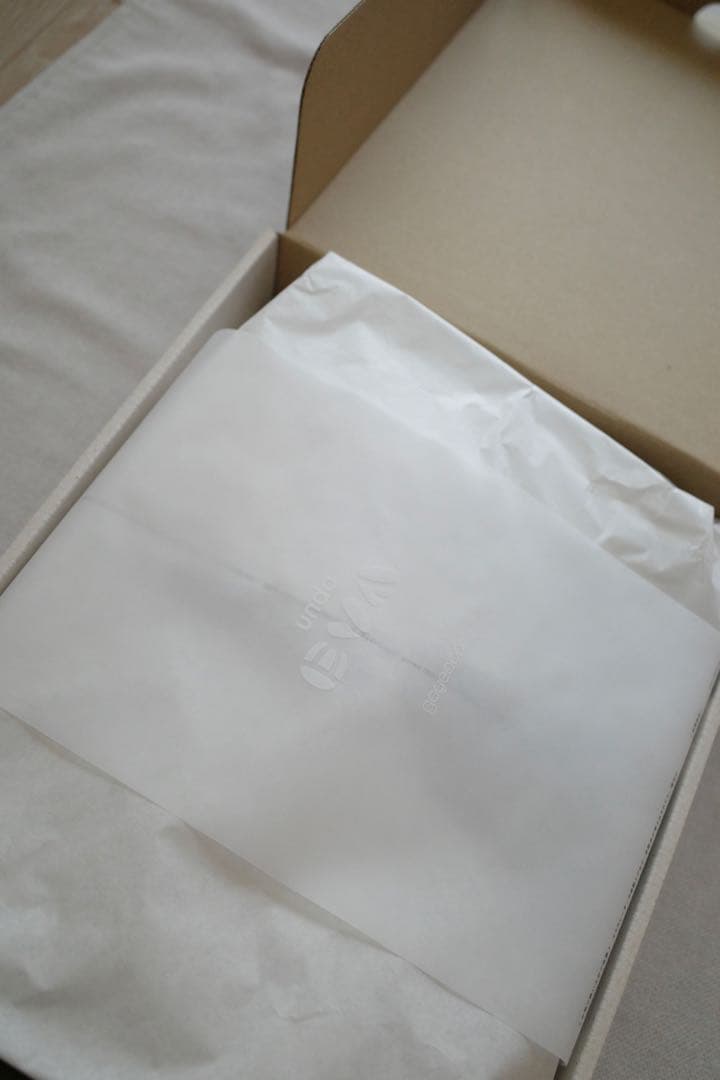 Goyemon unda eva ゴエモン 雪駄 サンダル