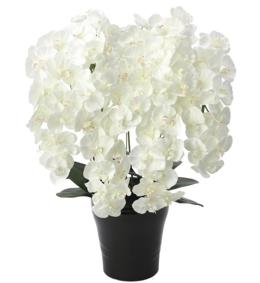 光触媒　人工観葉植物　フェイクグリーン　プレミアム胡蝶蘭7本立W