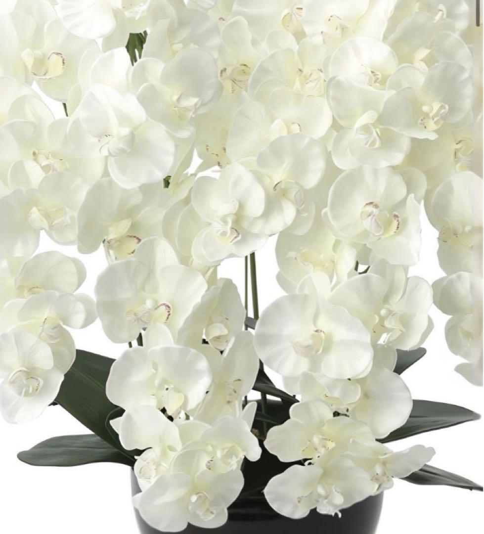 光触媒　人工観葉植物　フェイクグリーン　プレミアム胡蝶蘭7本立W