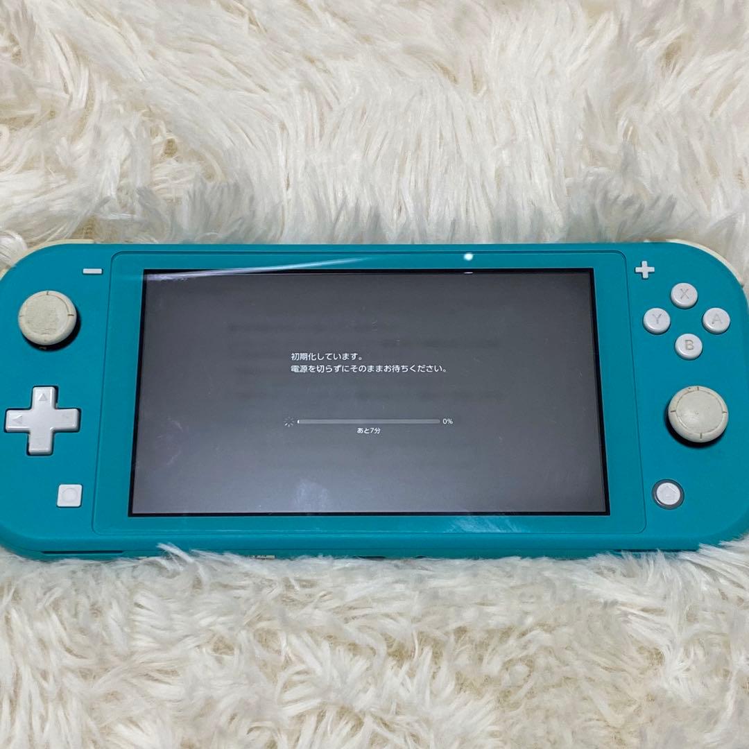 【動作確認済み】Nintendo Switch Lite ターコイズ 充電器付き