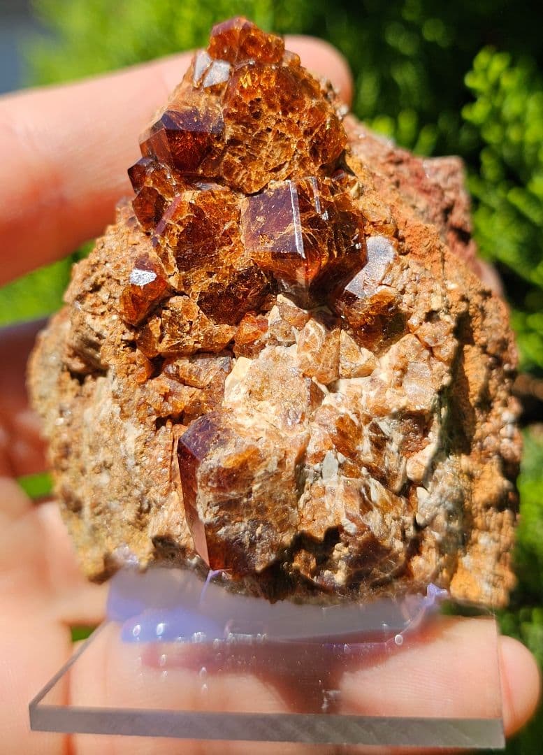 ネガティブエネルギーから強力に守護する‼️ ガーネット原石