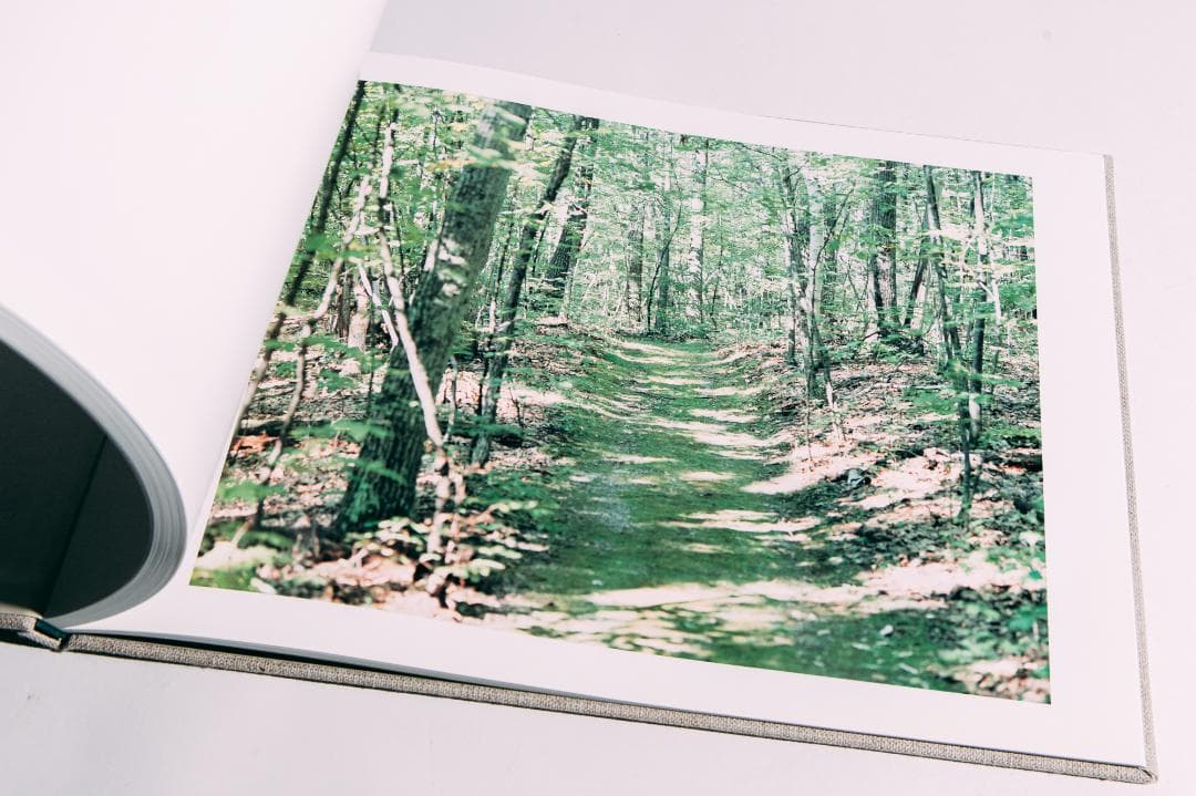 知覚の感光板　鈴木理策　Risaku Suzuki