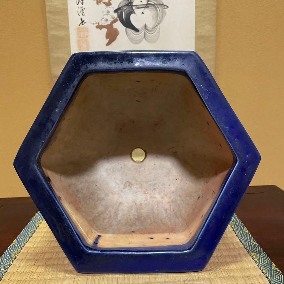 瀬戸焼 瑠璃釉 六角植木鉢 天山鉢 富貴蘭 山野草 盆栽 園芸 陶器製