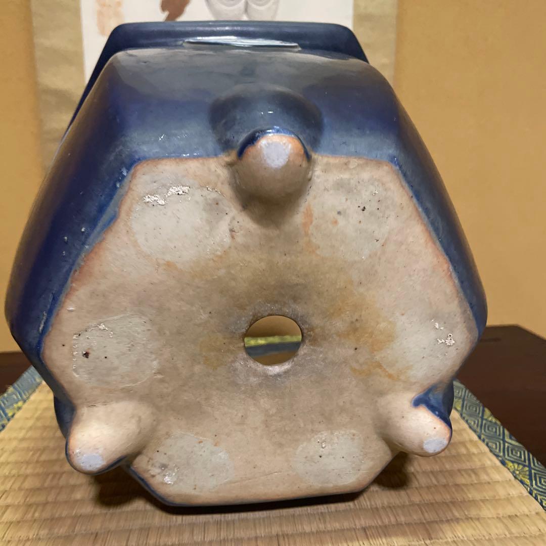 瀬戸焼 瑠璃釉 六角植木鉢 天山鉢 富貴蘭 山野草 盆栽 園芸 陶器製