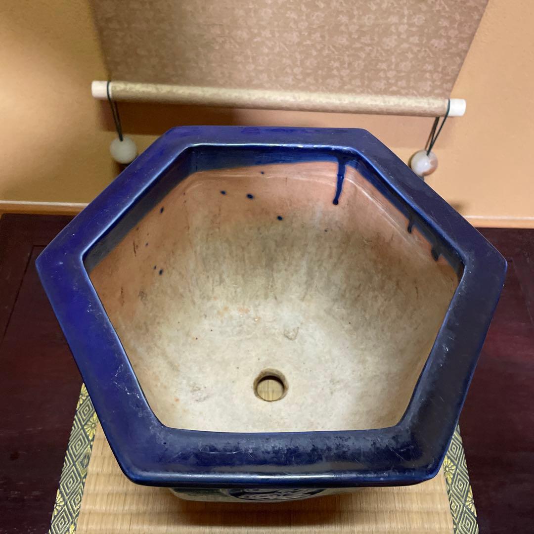 瀬戸焼 瑠璃釉 六角植木鉢 天山鉢 富貴蘭 山野草 盆栽 園芸 陶器製