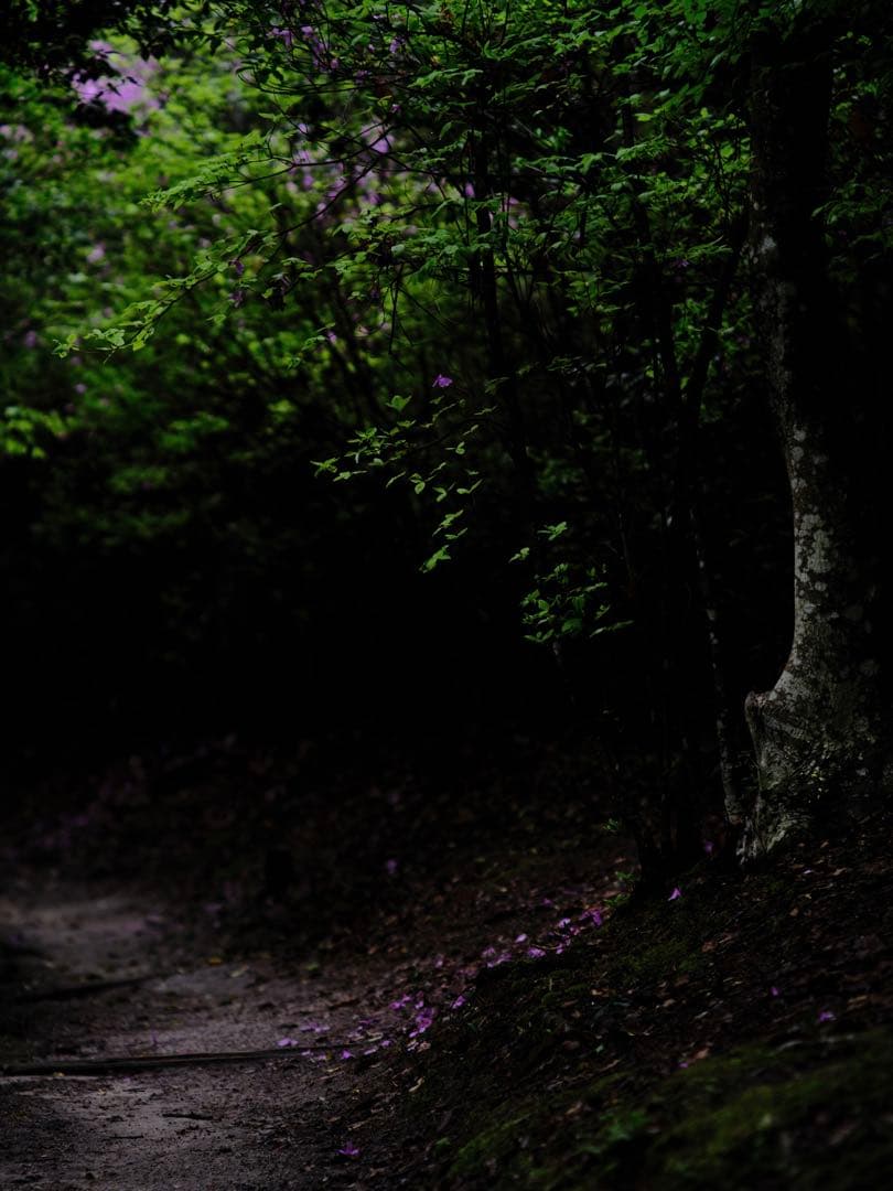 Minolta Rokkor-pf 100mm2.0 ミノルタの女王 希少