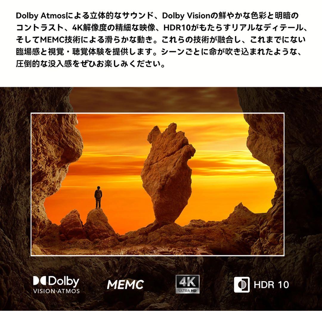 FPD 65V 4K UHD 液晶テレビ Google TV