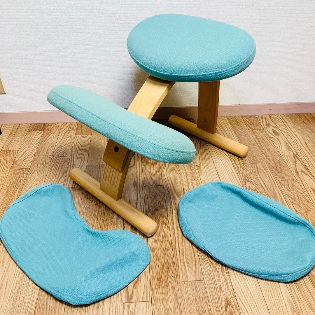 バランスチェア イージー カバー付 サカモトハウス (現バランスラボ）調節ガイド