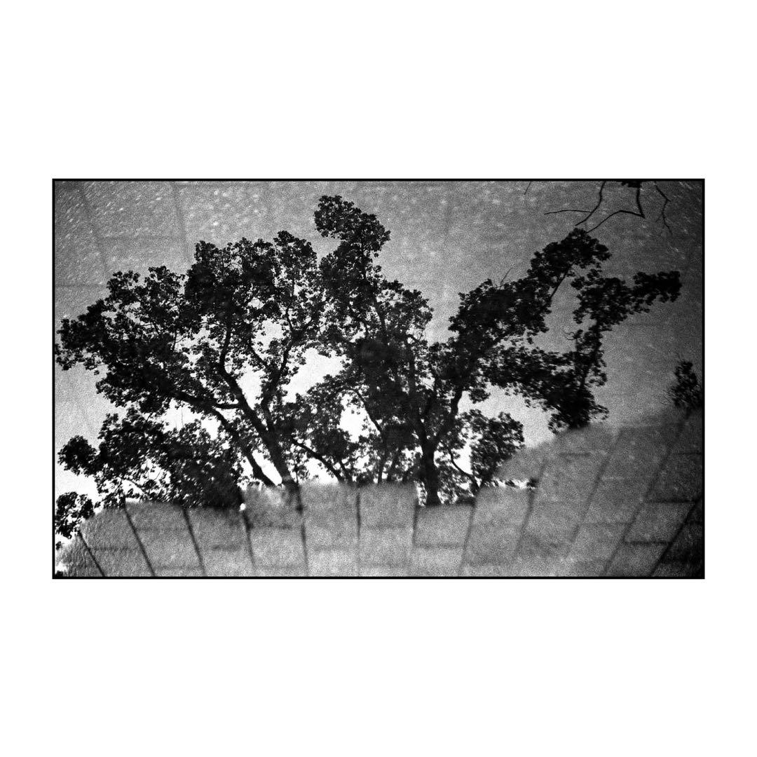 ツァイスイコン ゾナー50mm f2 Cマウント