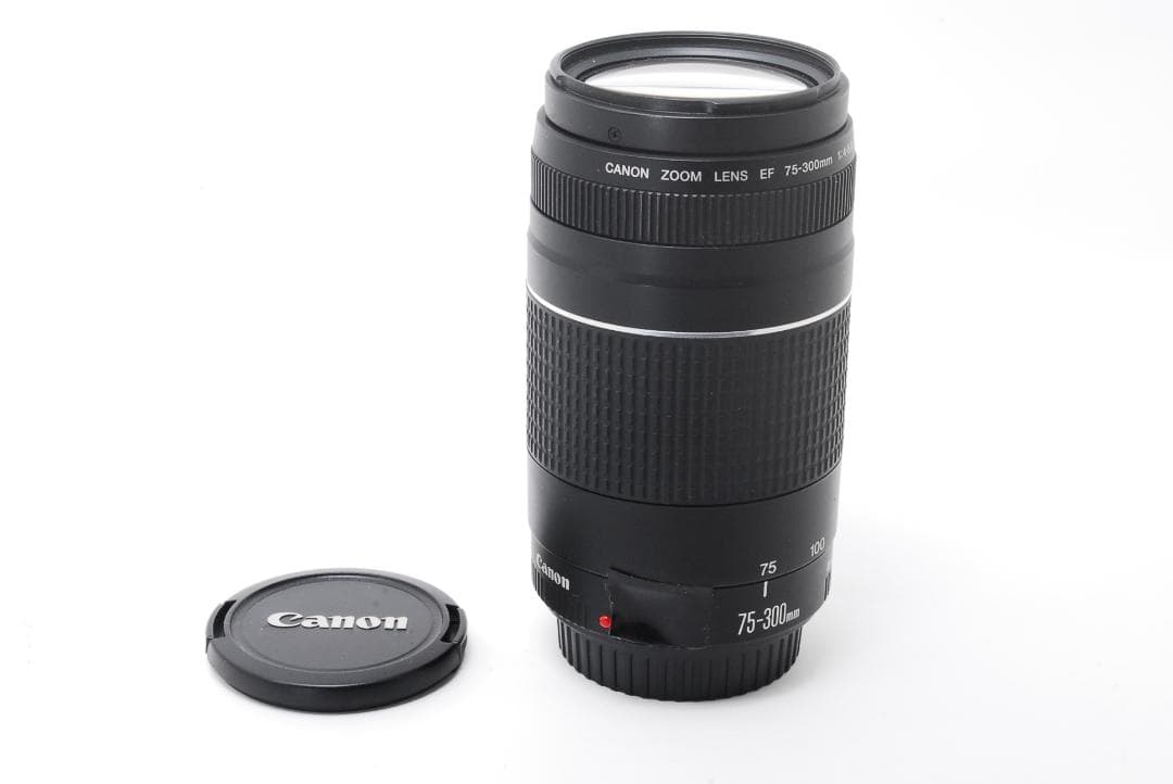 Canon EOS 5D Mark III 望遠レンズセット 三脚付