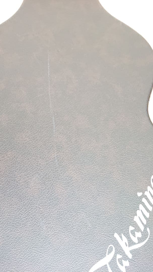 【Morris アコースティックギター MF-207】 +タカミネハードケース