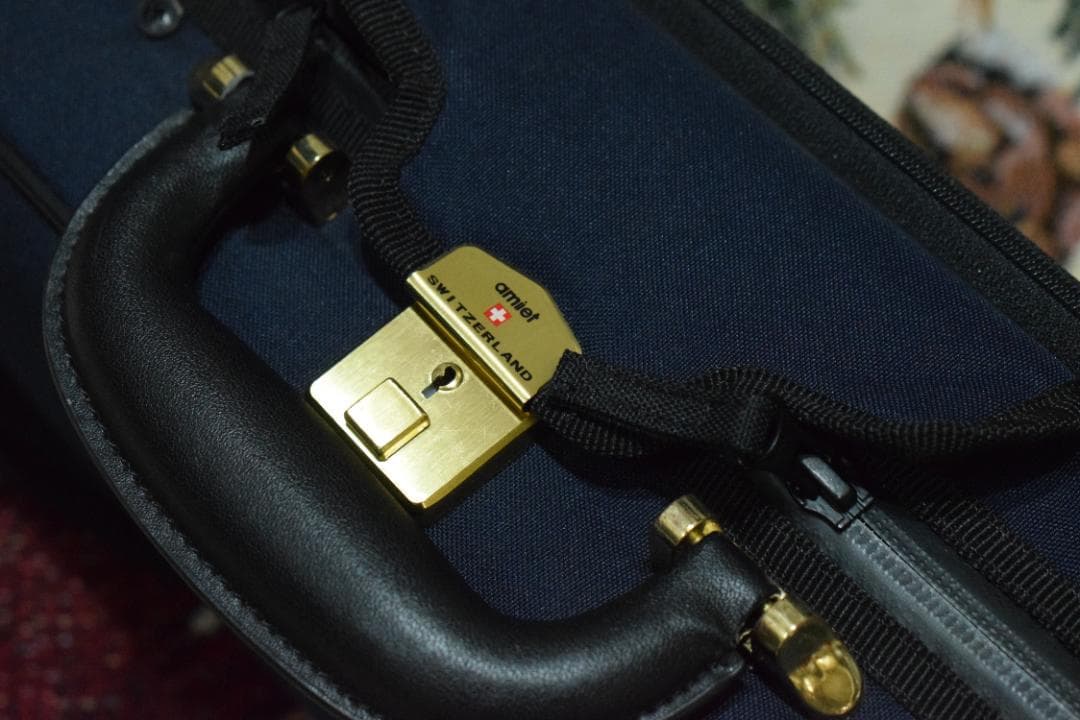 PYGMALIUS Antique 2012 4/4 Violin 付属品有