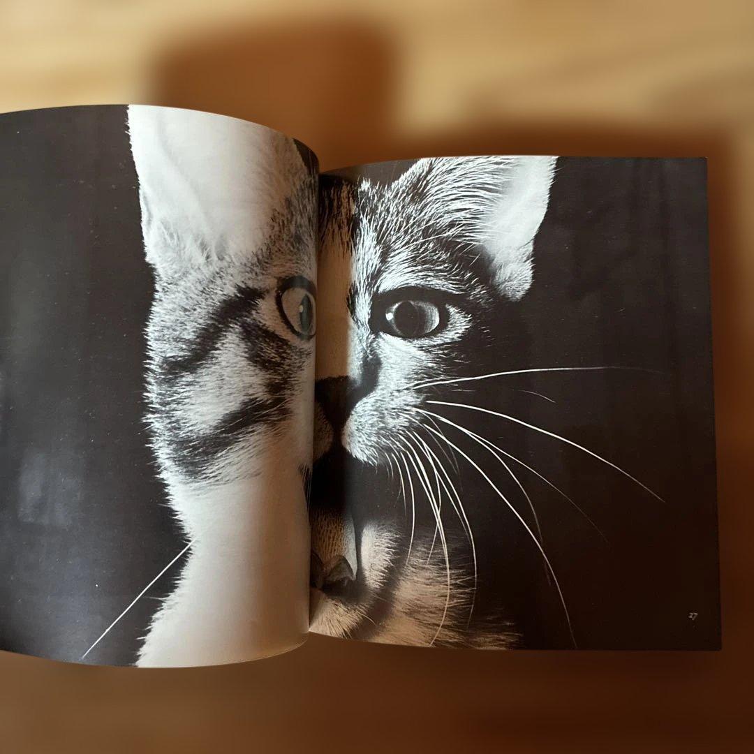 深瀬昌久　サスケ!!いとしき猫よ　写真集