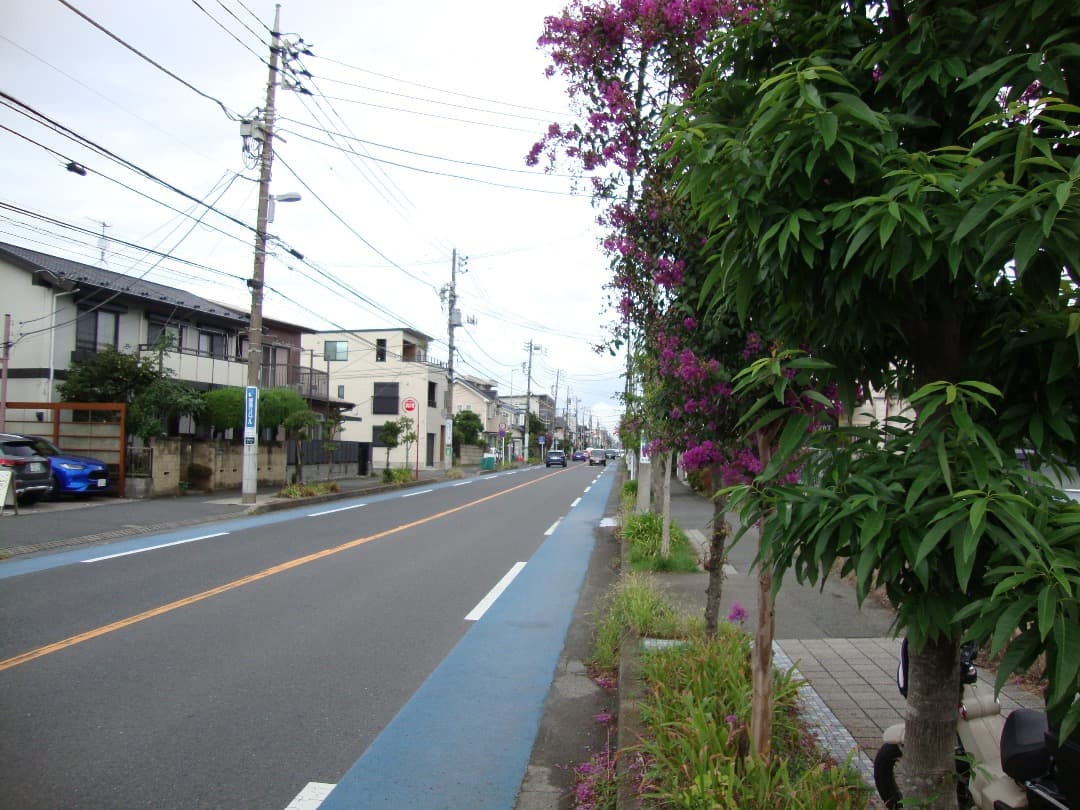 実写美⭕️【動作確認済】SONY Cyber-shot DSC-W220