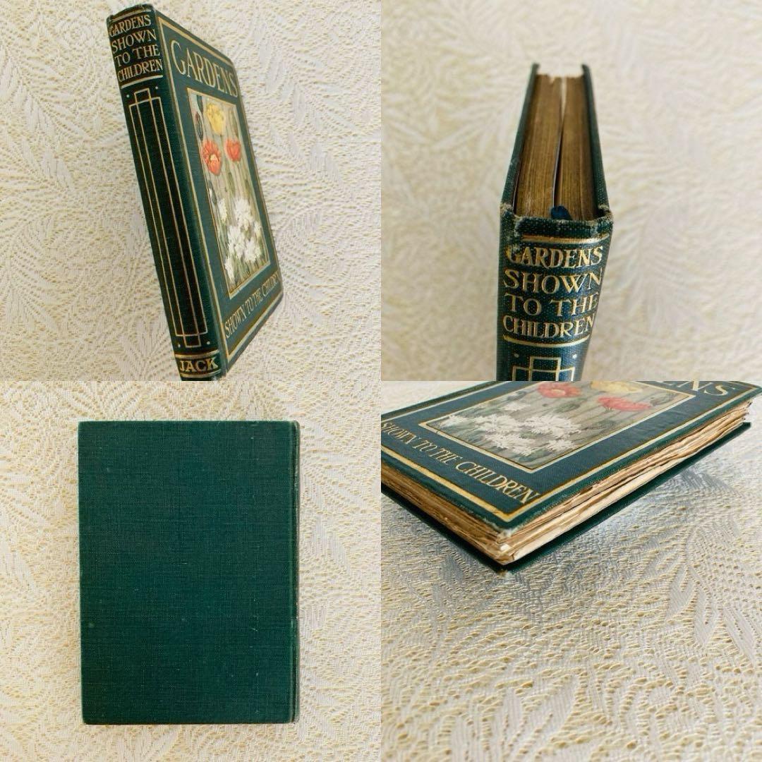 洋書　古書　希少　イギリスのアンティーク植物図鑑　色鮮やかで美しいカラー図版♡