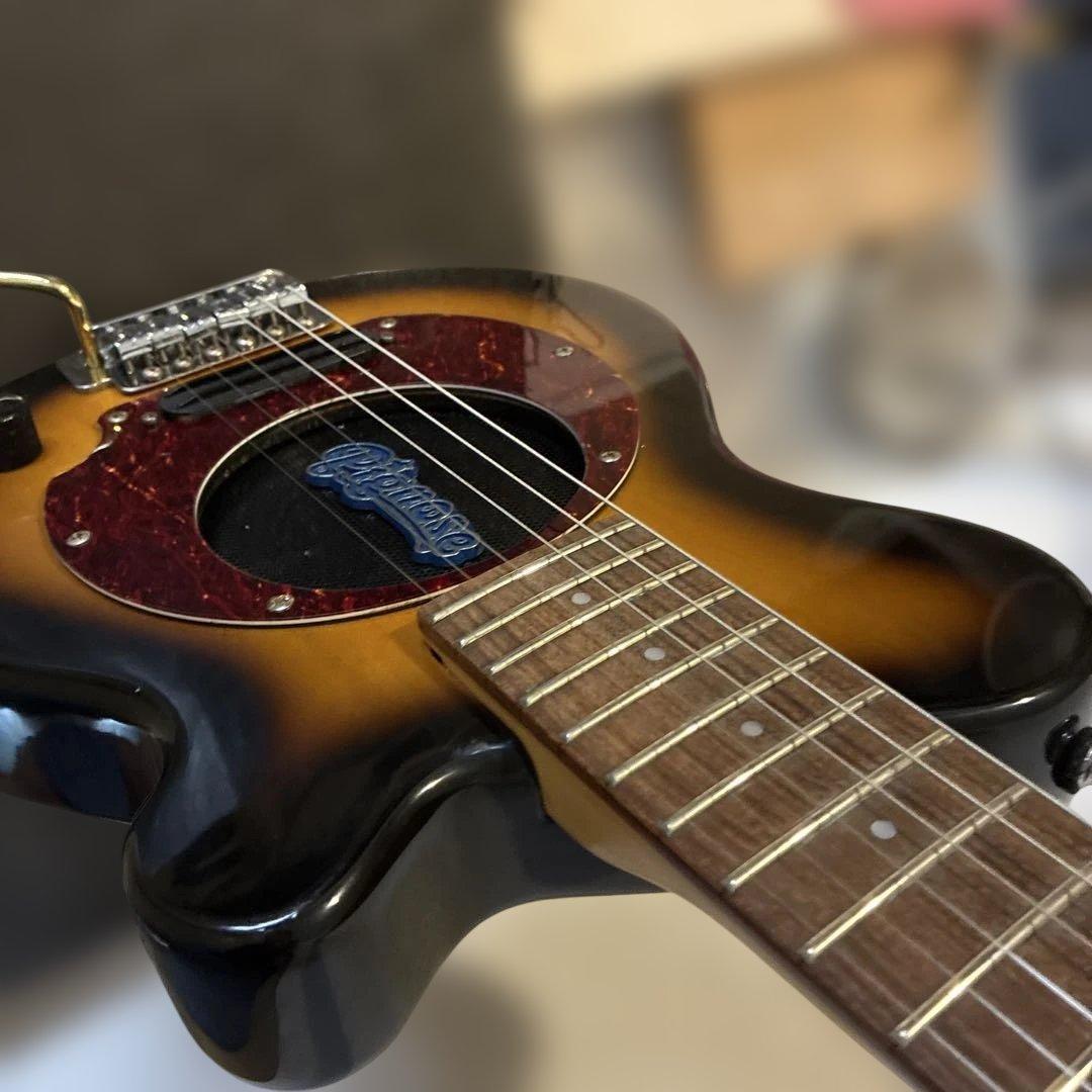 ピグノーズPGG100 サンバースト